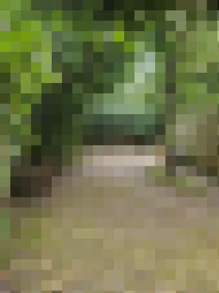 De Hazelaar 13 Zevenaar thumbnail 42