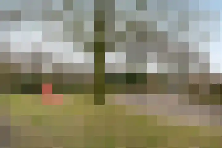 De Hazelaar 13 Zevenaar thumbnail 43