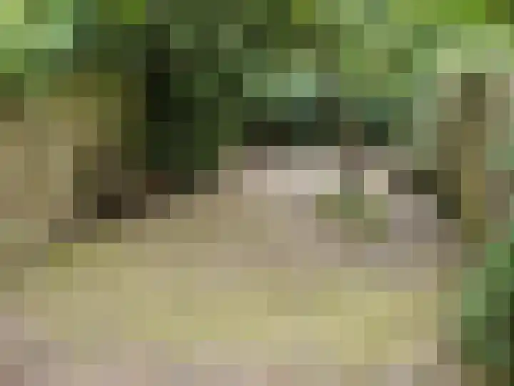 De Hazelaar 13 Zevenaar thumbnail 5