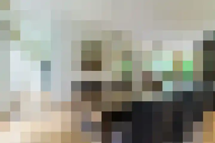 De Hazelaar 15 Valkenswaard thumbnail 10