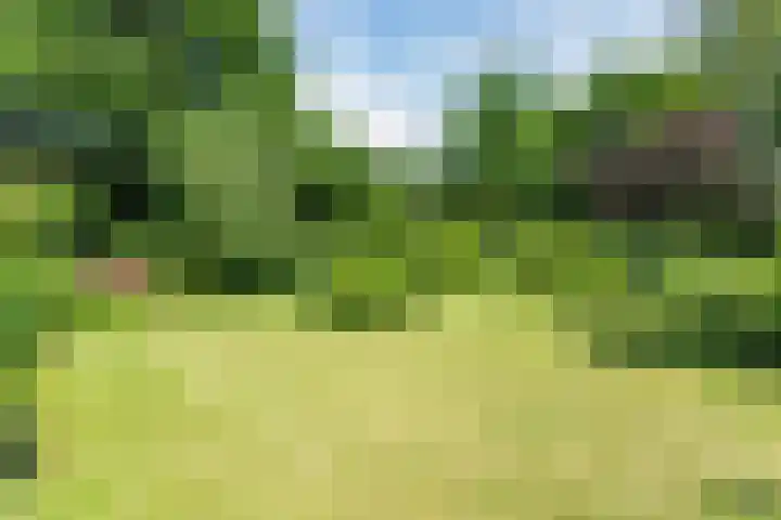 De Hazelaar 15 Valkenswaard thumbnail 29