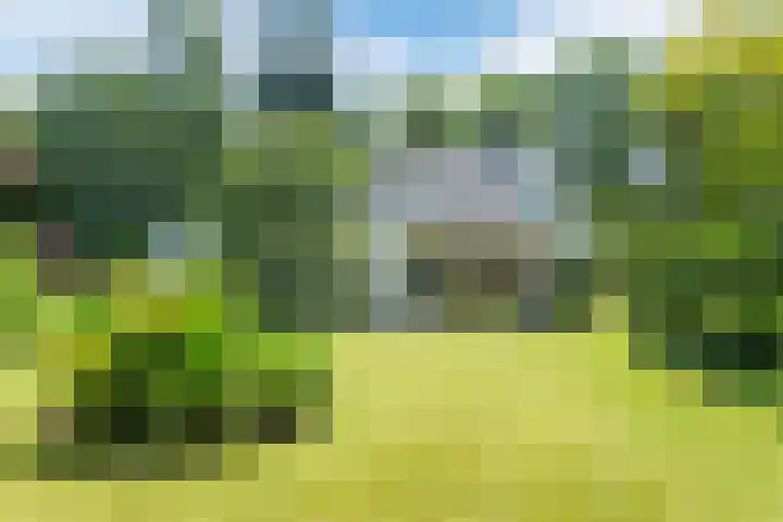 De Hazelaar 15 Valkenswaard thumbnail 30