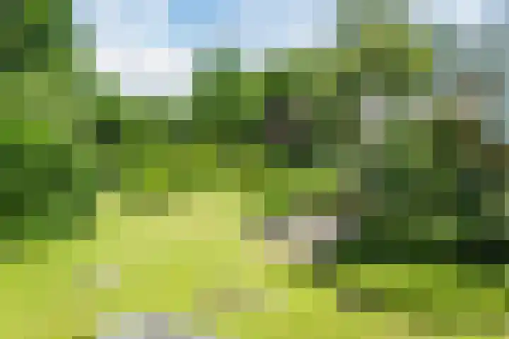 De Hazelaar 15 Valkenswaard thumbnail 31
