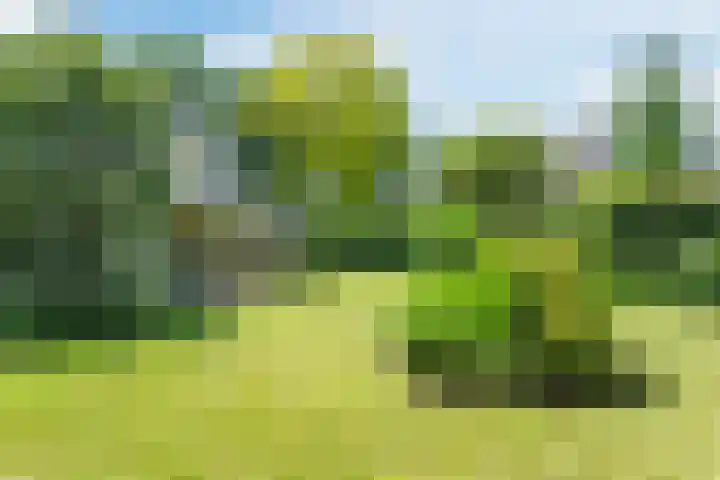 De Hazelaar 15 Valkenswaard thumbnail 32