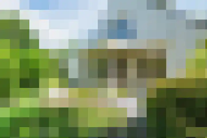 De Hazelaar 15 Valkenswaard thumbnail 34