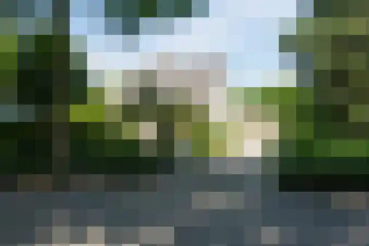 De Hazelaar 15 Valkenswaard thumbnail 36