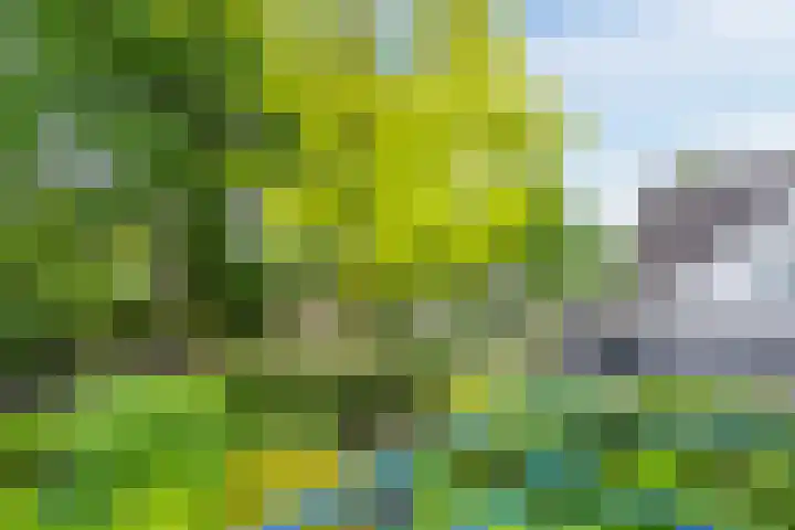 De Hazelaar 15 Valkenswaard thumbnail 37
