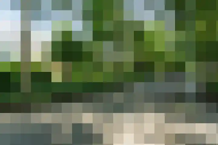 De Hazelaar 15 Valkenswaard thumbnail 38
