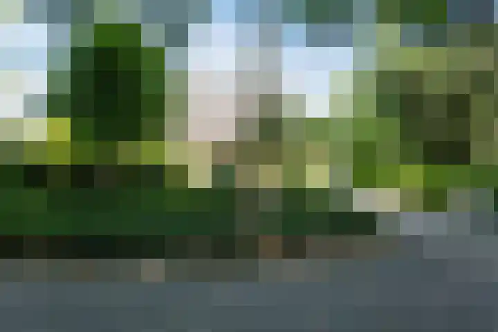 De Hazelaar 15 Valkenswaard thumbnail 39