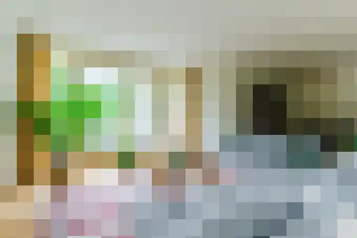 De Hazelaar 15 Valkenswaard thumbnail 4