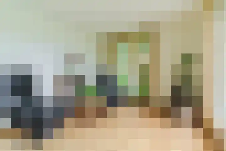 De Hazelaar 15 Valkenswaard thumbnail 8