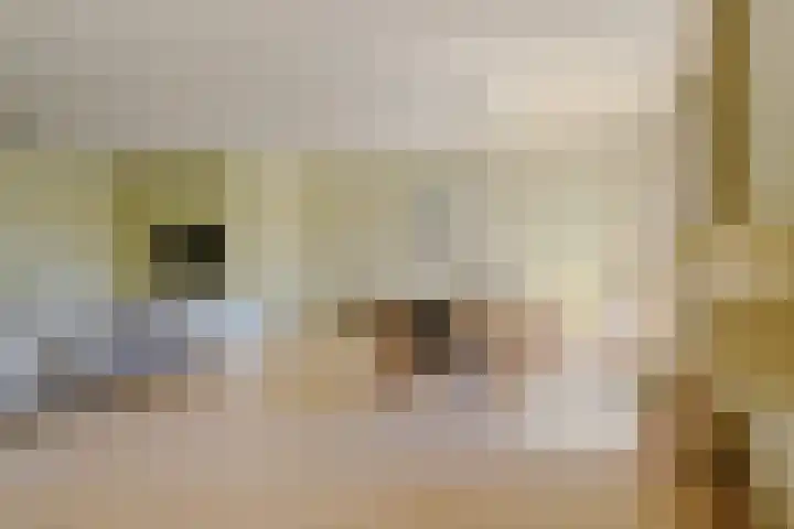 De Hazelaar 17 Molenhoek thumbnail 10
