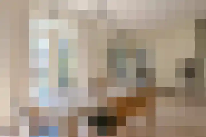 De Hazelaar 17 Molenhoek thumbnail 13