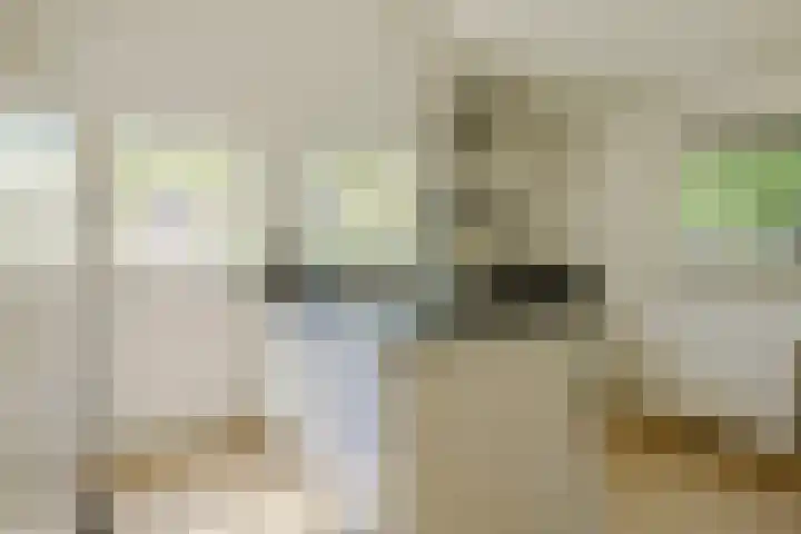 De Hazelaar 17 Molenhoek thumbnail 15