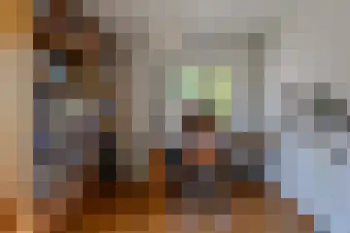De Hazelaar 17 Molenhoek thumbnail 25