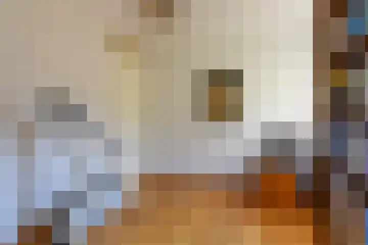 De Hazelaar 17 Molenhoek thumbnail 26