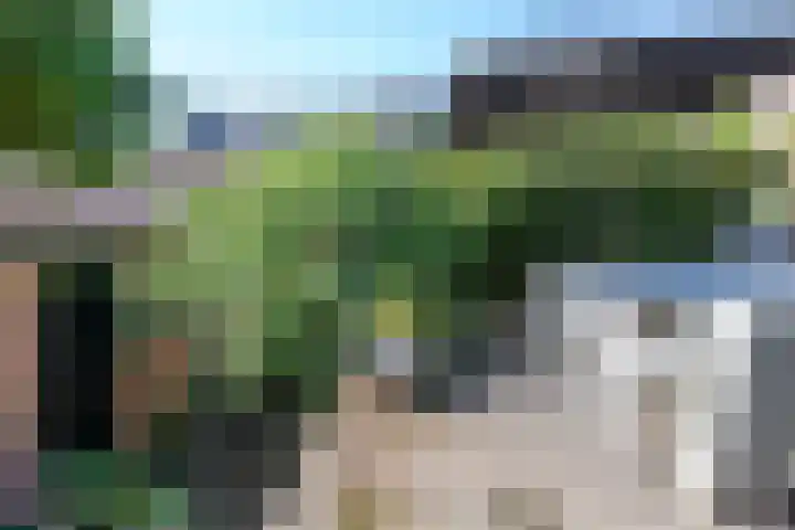 De Hazelaar 17 Molenhoek thumbnail 37