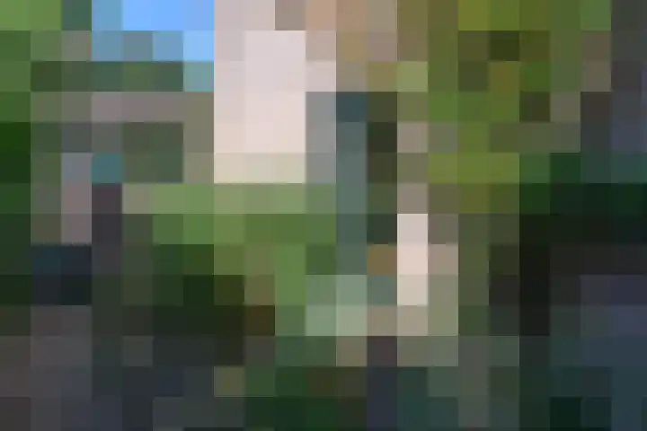 De Hazelaar 17 Molenhoek thumbnail 40