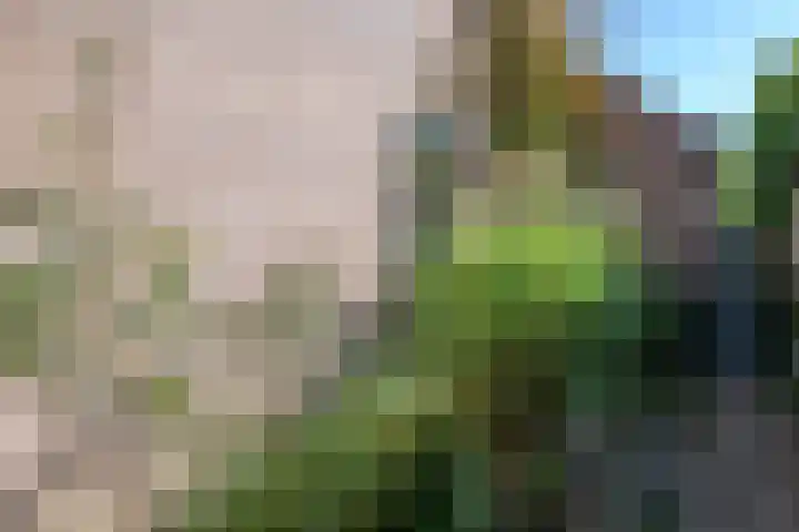 De Hazelaar 17 Molenhoek thumbnail 41