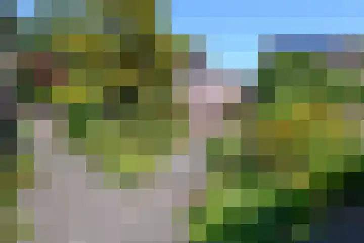 De Hazelaar 17 Molenhoek thumbnail 43