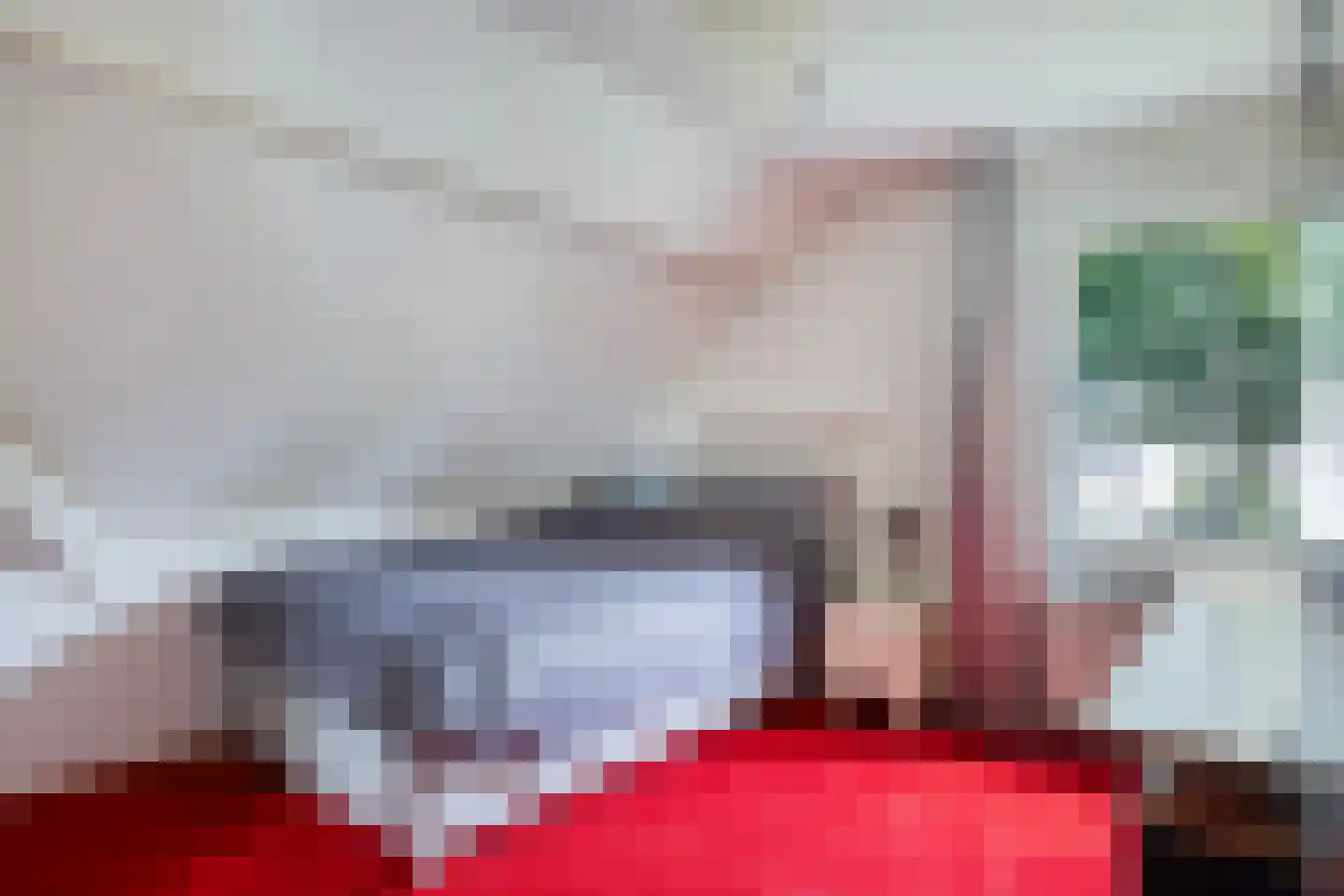 de Hazelaar 20 Boxmeer thumbnail 22
