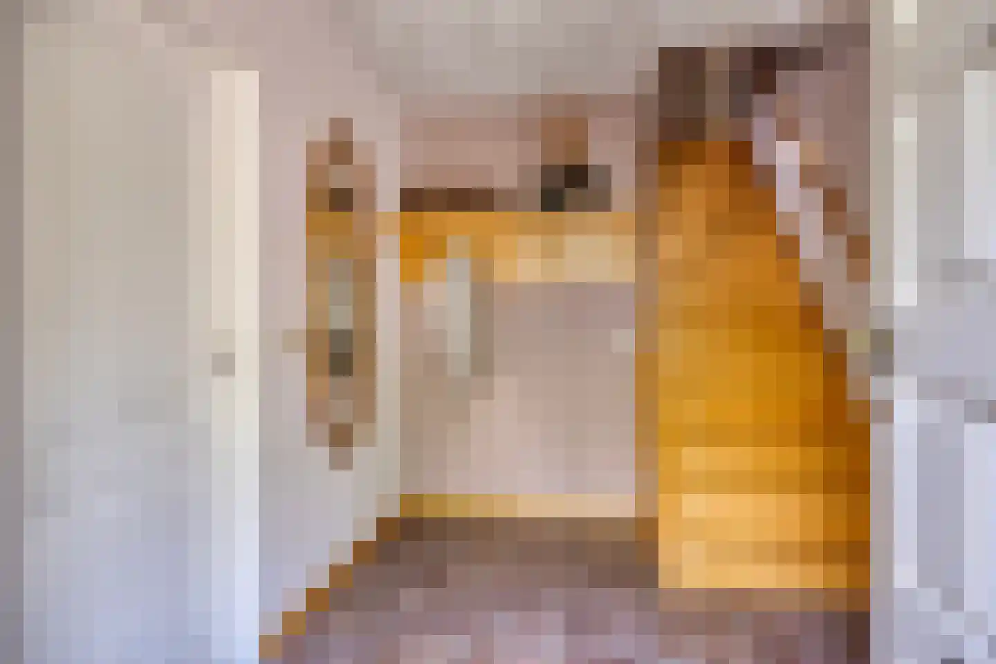 de Hazelaar 20 Boxmeer thumbnail 5
