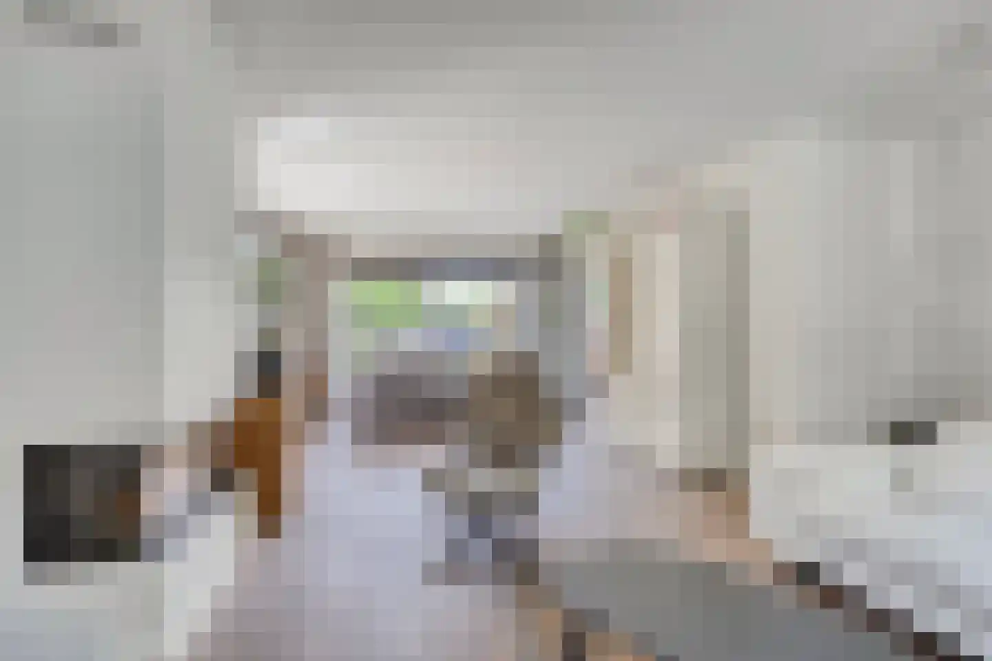 de Hazelaar 20 Boxmeer thumbnail 8