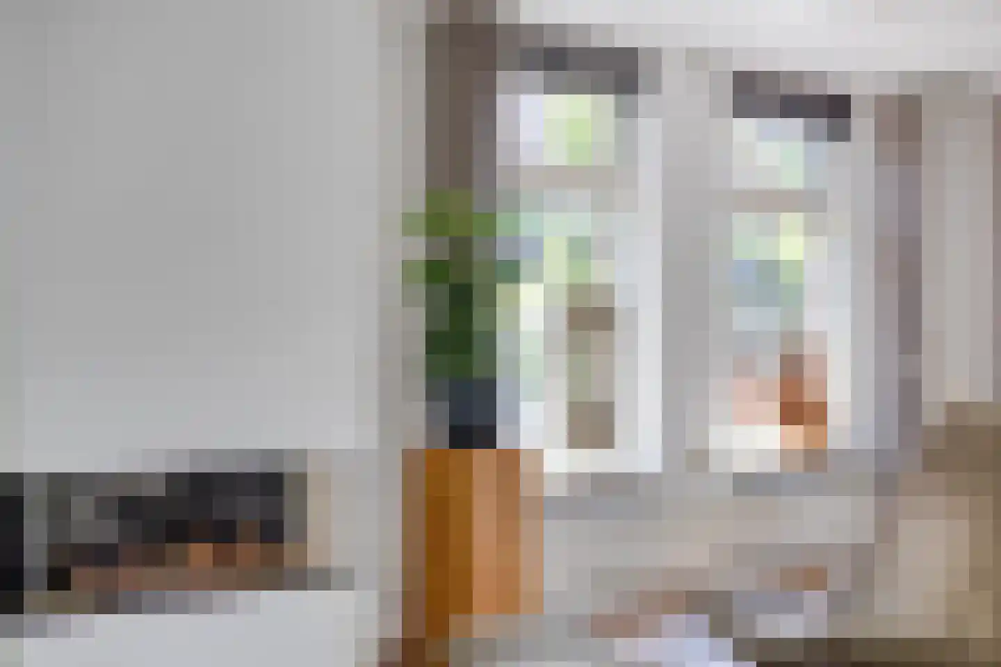 de Hazelaar 20 Boxmeer thumbnail 9