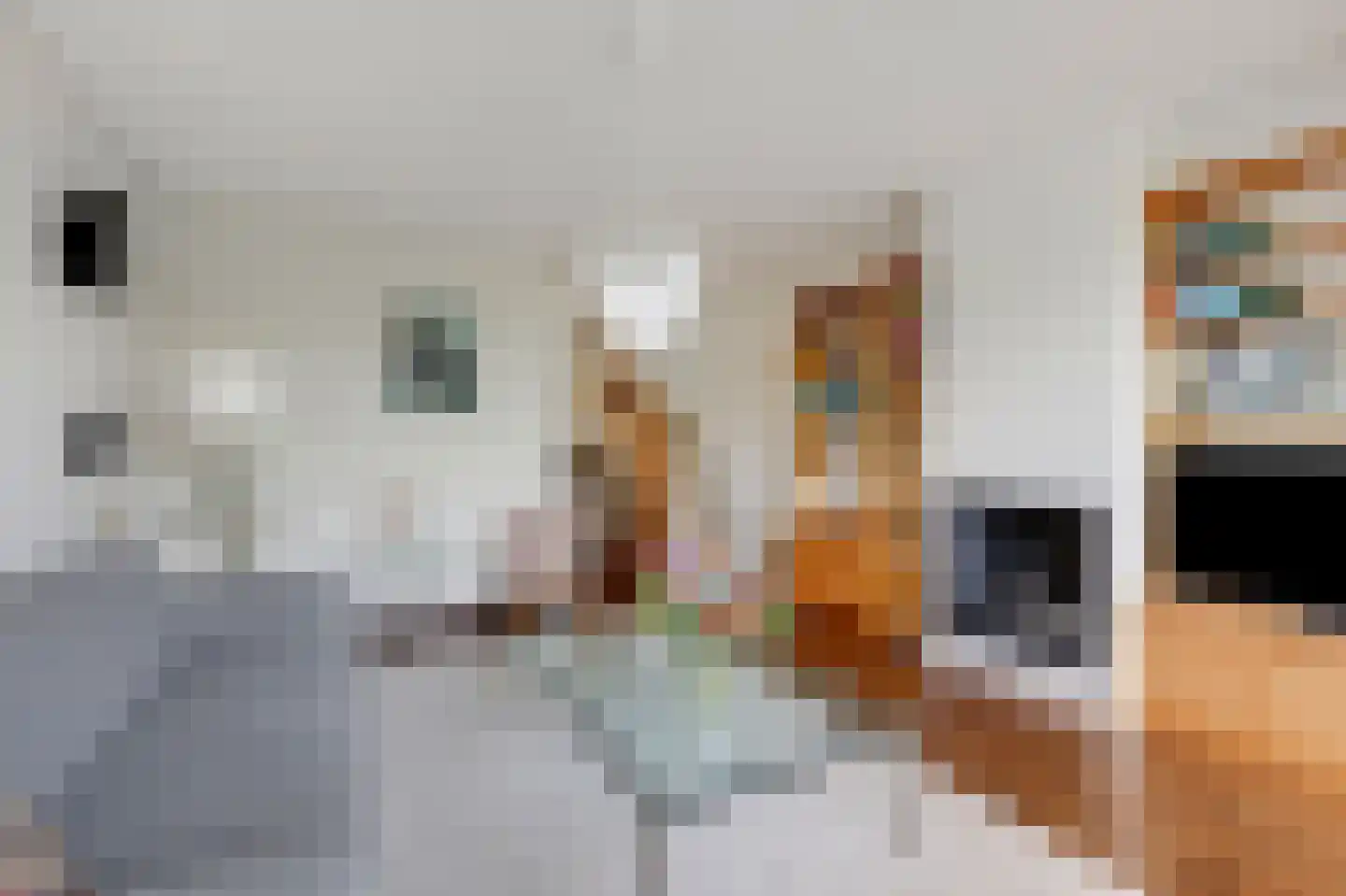 De Hazelaar 21 Zevenaar thumbnail 13