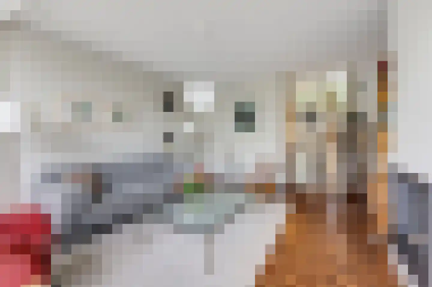 De Hazelaar 21 Zevenaar thumbnail 14