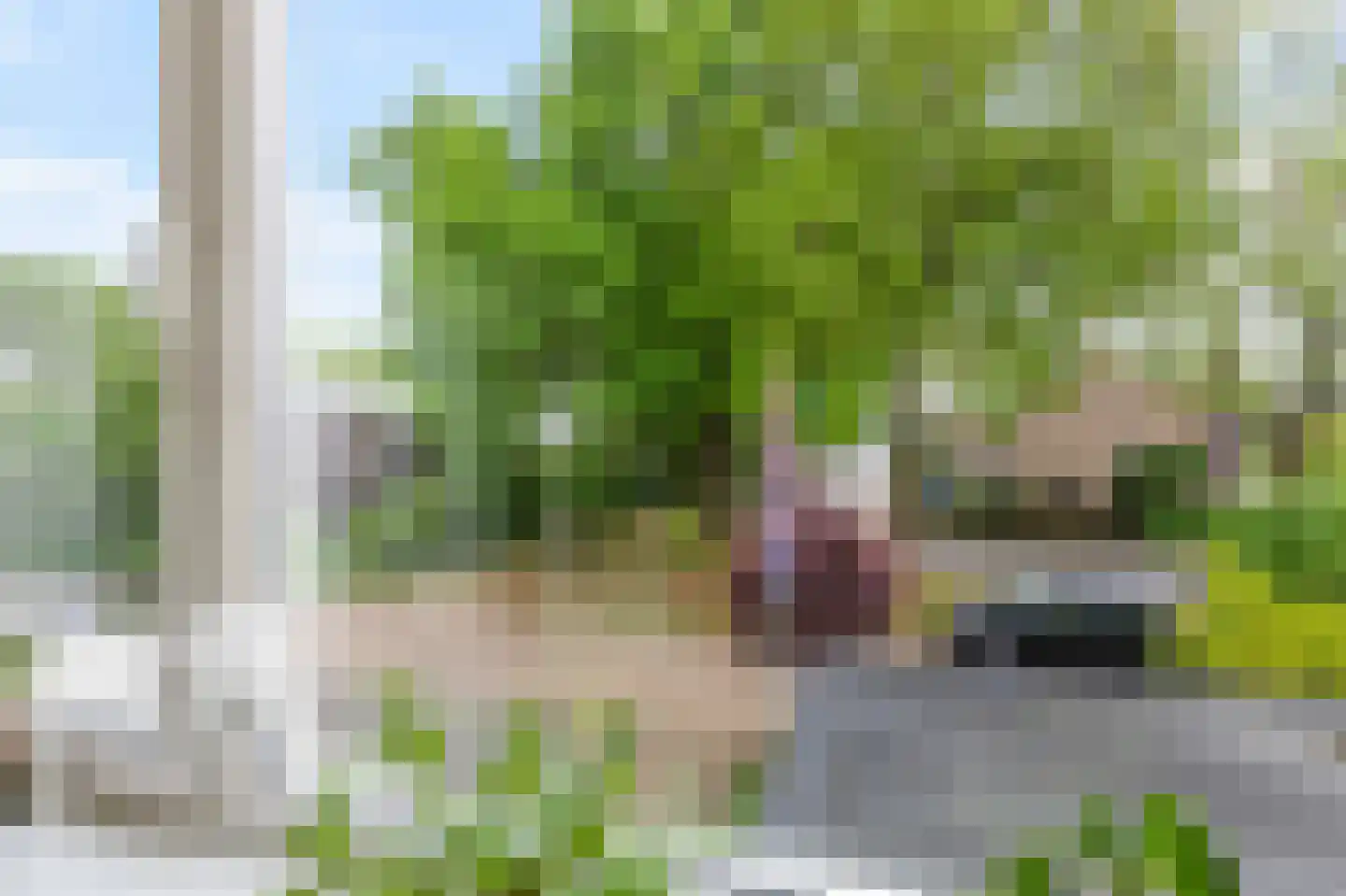 De Hazelaar 21 Zevenaar thumbnail 20