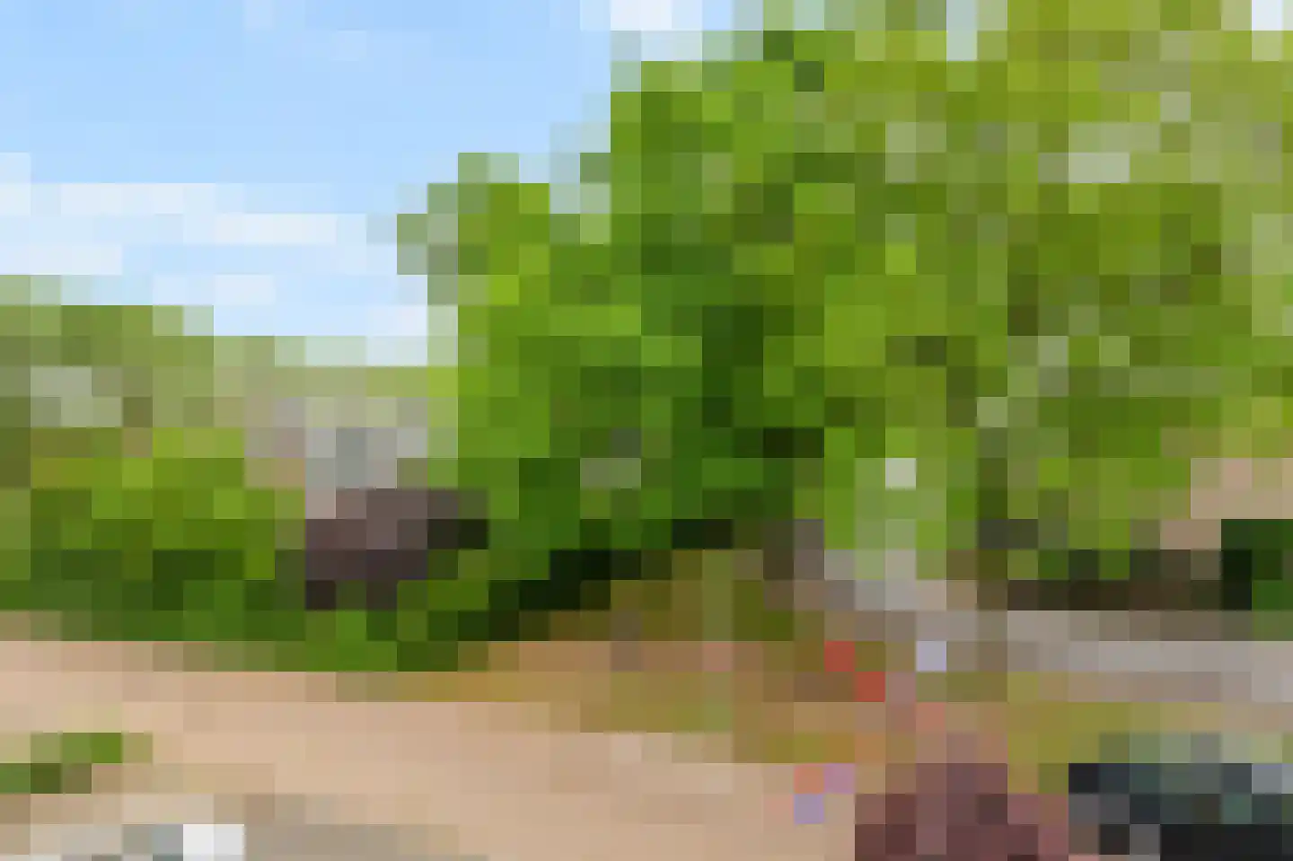 De Hazelaar 21 Zevenaar thumbnail 21