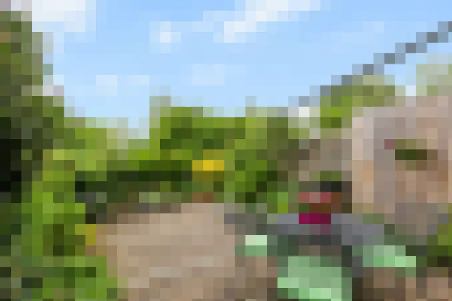 De Hazelaar 21 Zevenaar thumbnail 38
