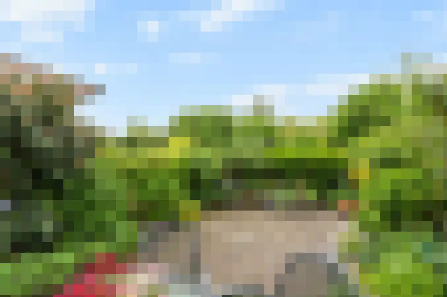 De Hazelaar 21 Zevenaar thumbnail 39