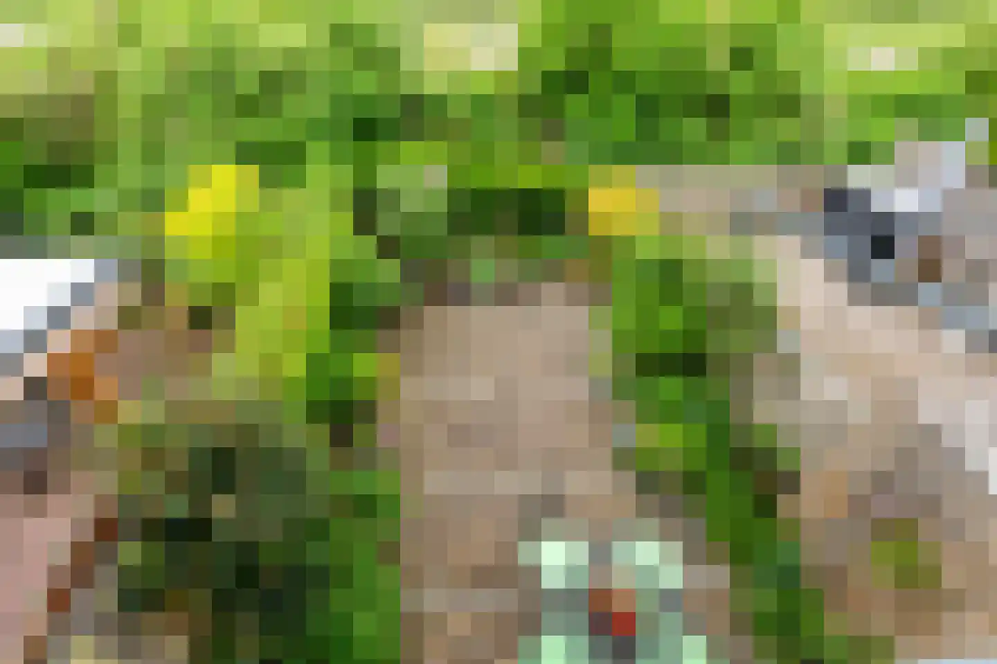 De Hazelaar 21 Zevenaar thumbnail 40