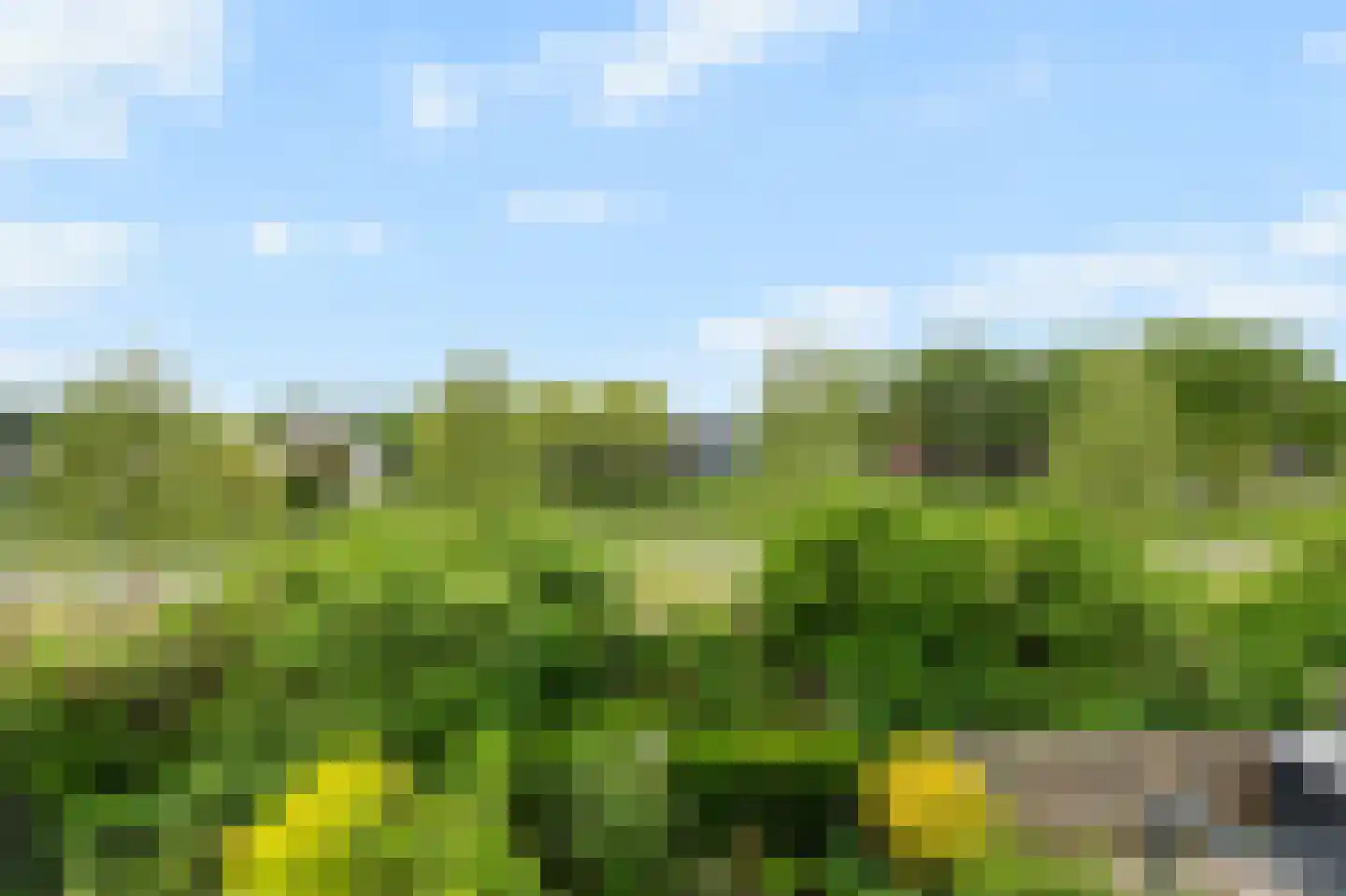 De Hazelaar 21 Zevenaar thumbnail 41