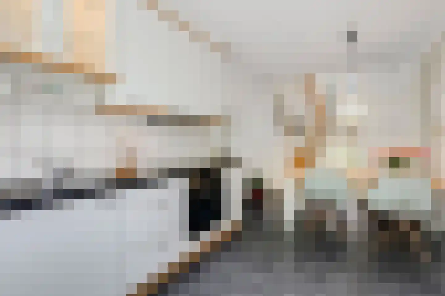 De Hazelaar 21 Zevenaar thumbnail 5