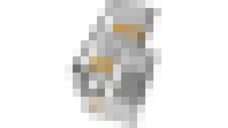De Hazelaar 21 Zevenaar thumbnail 50