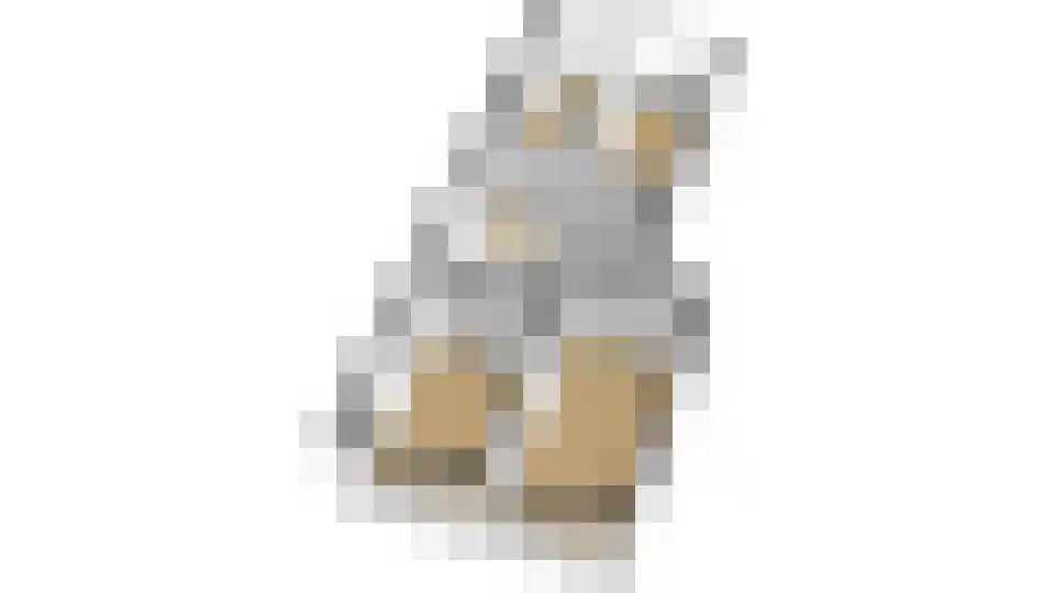 De Hazelaar 21 Zevenaar thumbnail 54