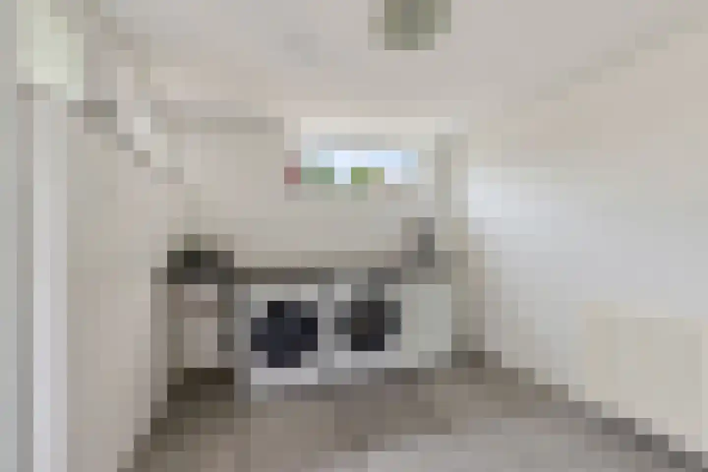 de Hazelaar 3 Didam thumbnail 13