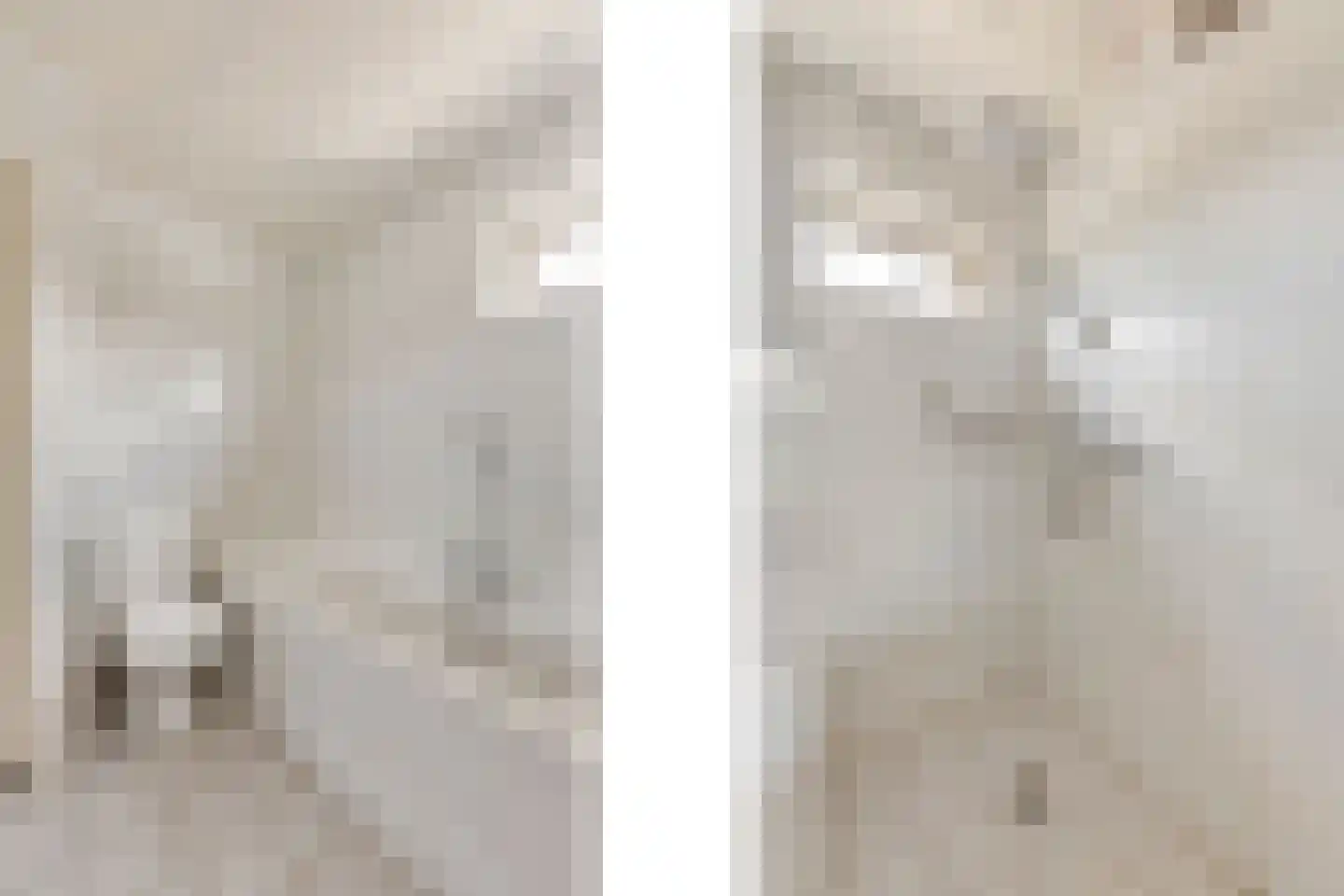 de Hazelaar 3 Didam thumbnail 22