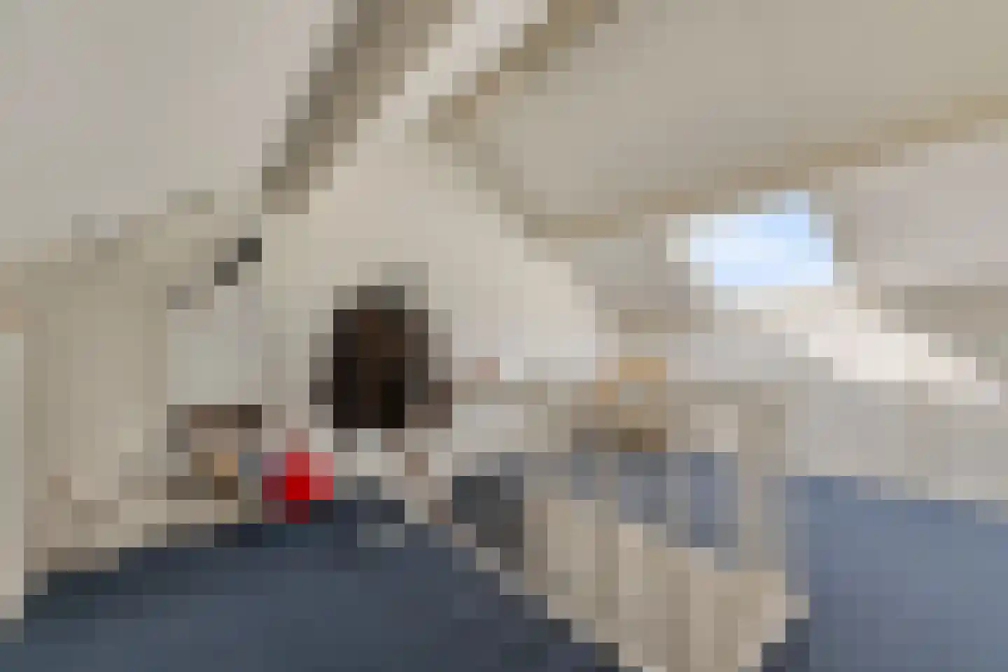 de Hazelaar 3 Didam thumbnail 24
