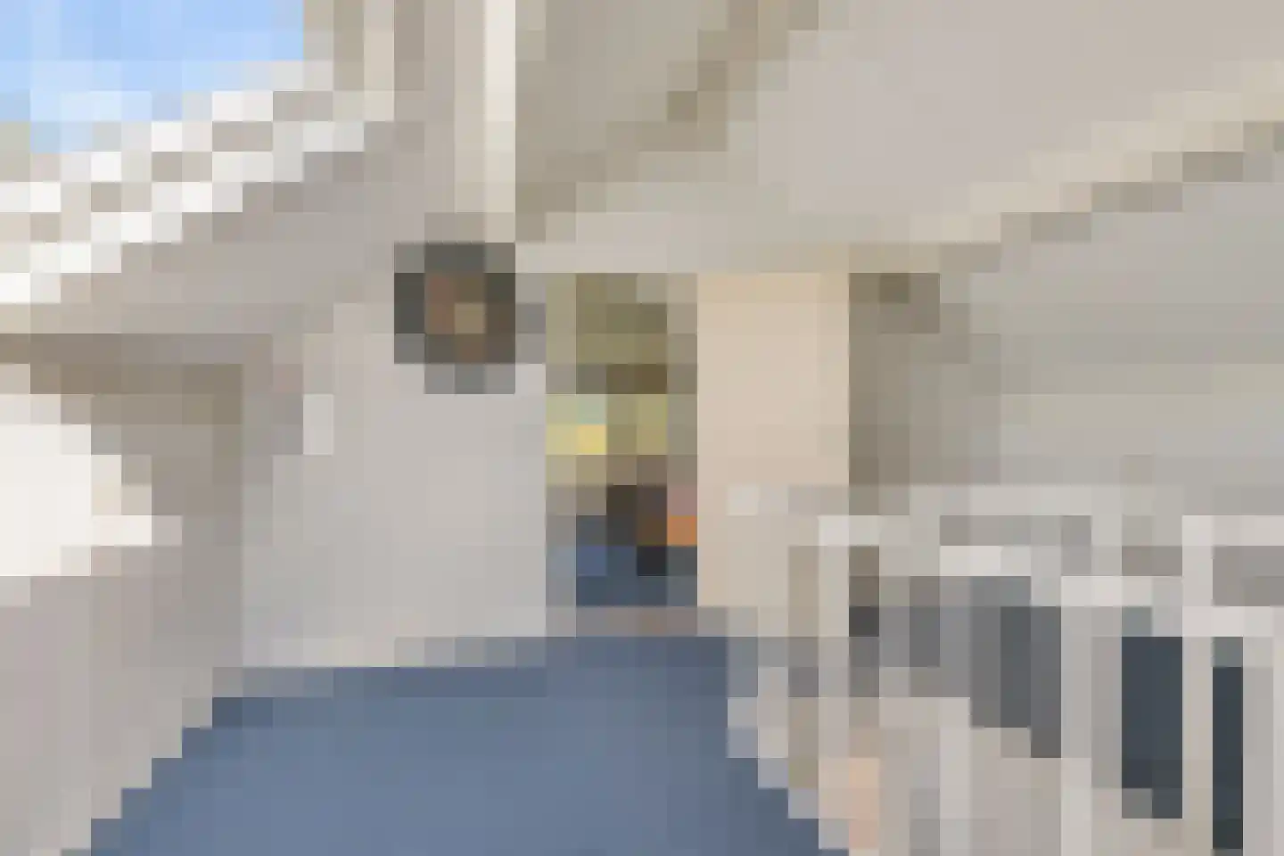 de Hazelaar 3 Didam thumbnail 25