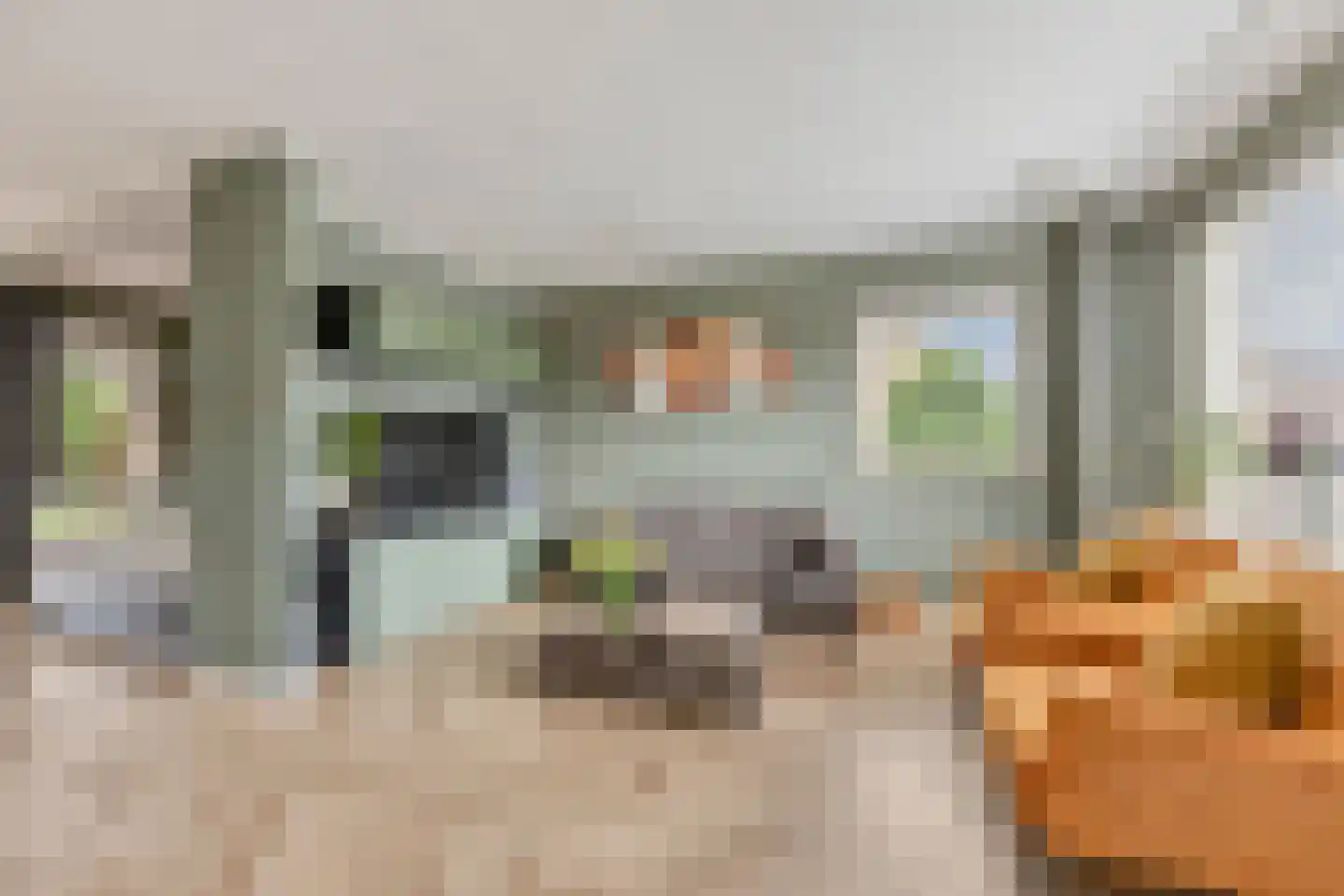 de Hazelaar 3 Didam foto 3