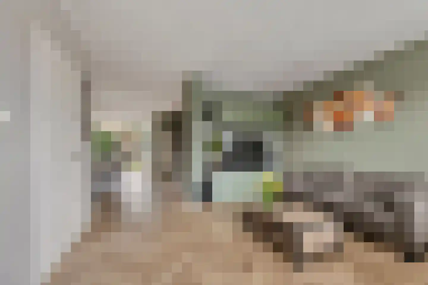 de Hazelaar 3 Didam thumbnail 4