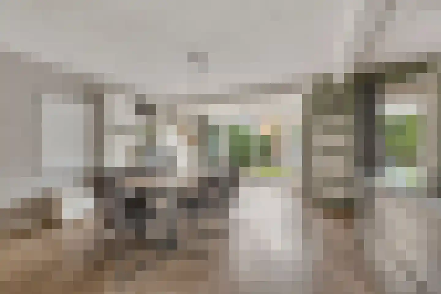 de Hazelaar 3 Didam thumbnail 5