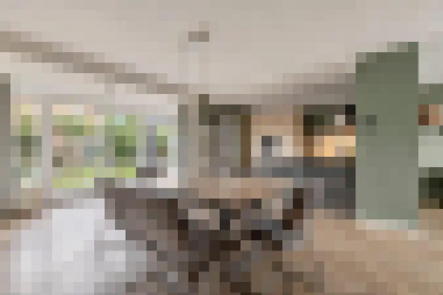 de Hazelaar 3 Didam thumbnail 7