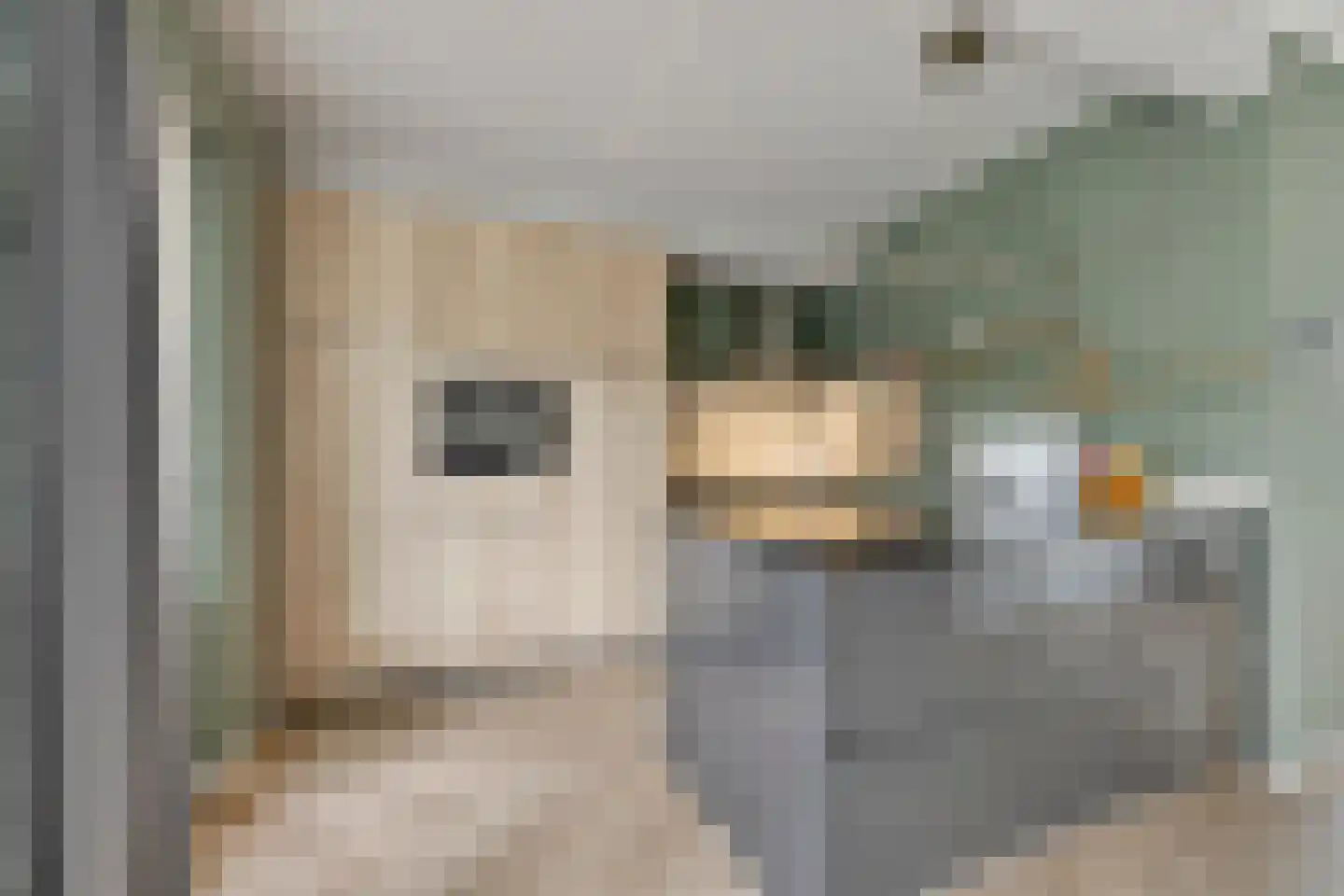 de Hazelaar 3 Didam thumbnail 8