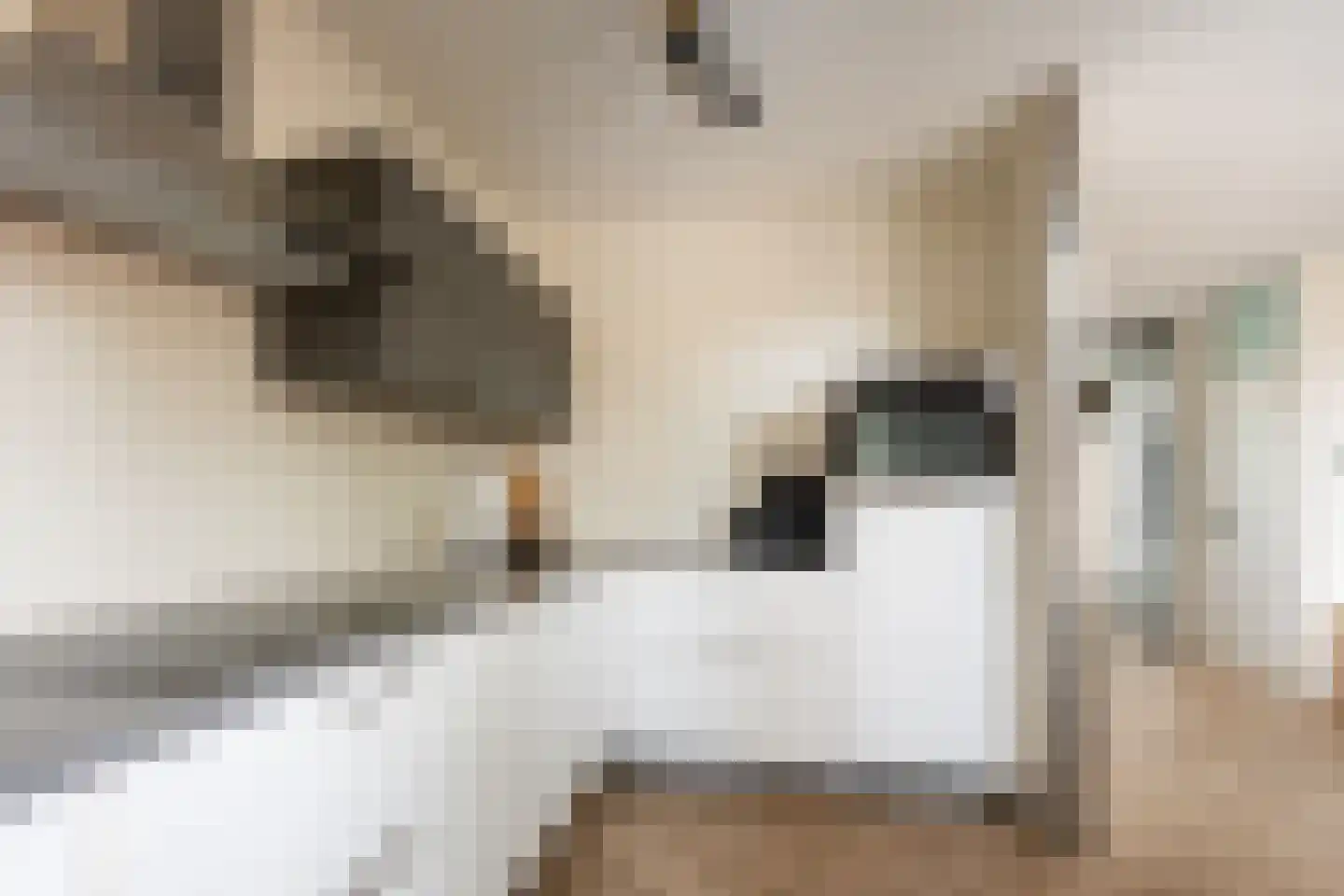 de Hazelaar 31 Hoogerheide thumbnail 12