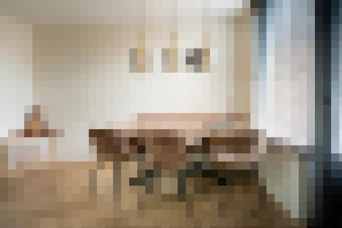 de Hazelaar 31 Hoogerheide thumbnail 14